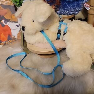 XS/SMALL Leash and Body Collar Set